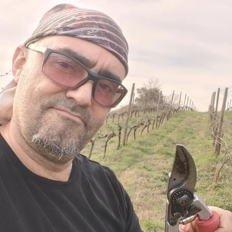 Xavi, viticultor de XBVins, amb les estisores de podar a la mà a la vinya podada